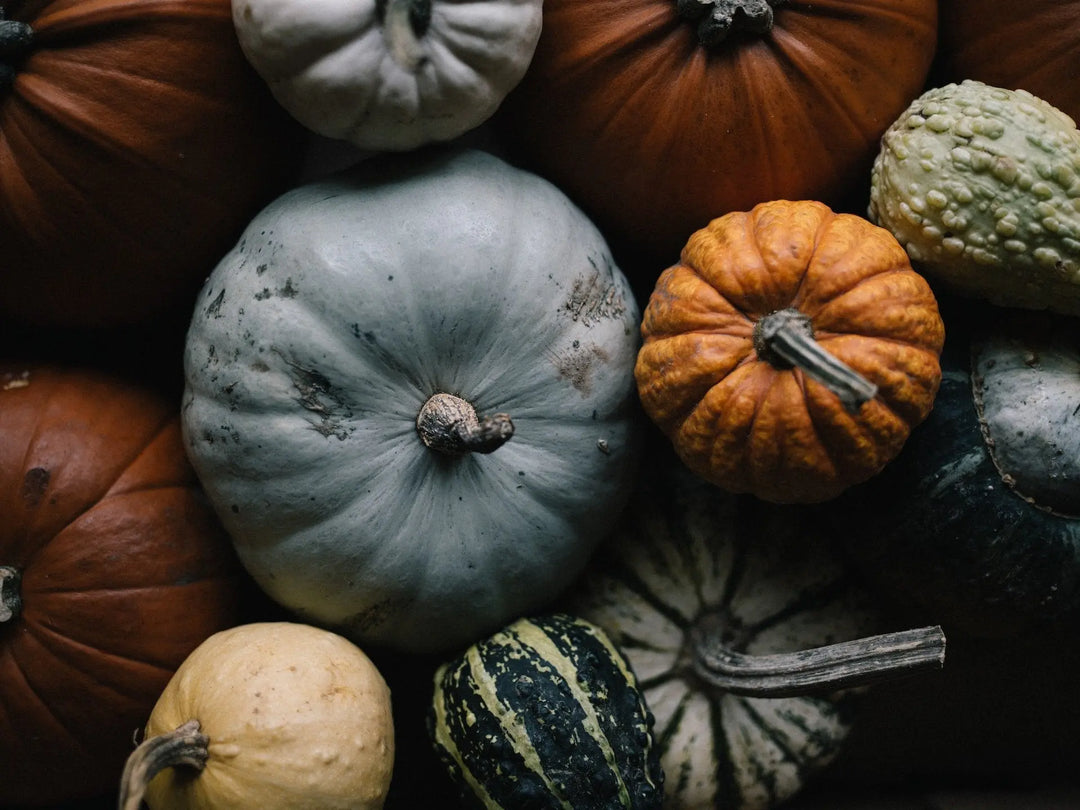 Variétés de légumes d'hiver frais et nutritifs.