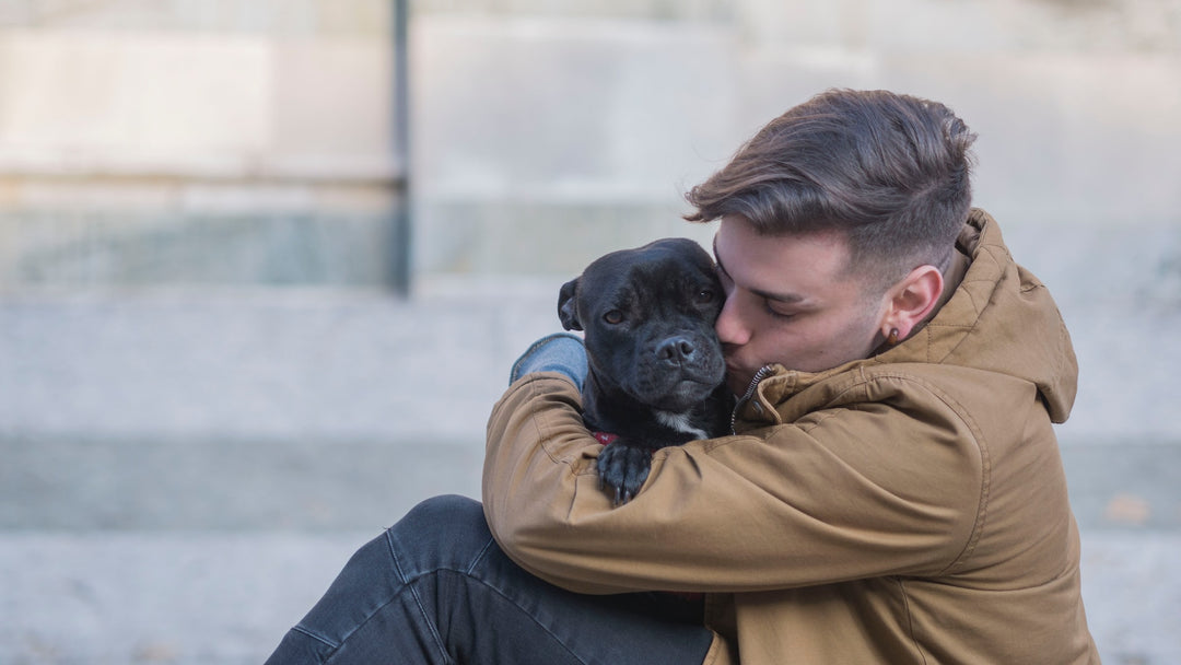 chien embrassé par son propriétaire.jpg